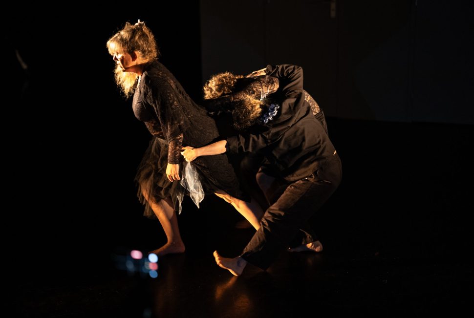 Spectacle en préparation de la Compagnie Testudines.