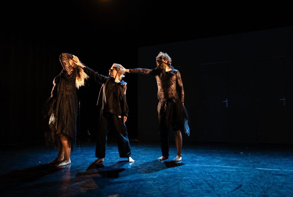 Spectacle en préparation de la Compagnie Testudines.