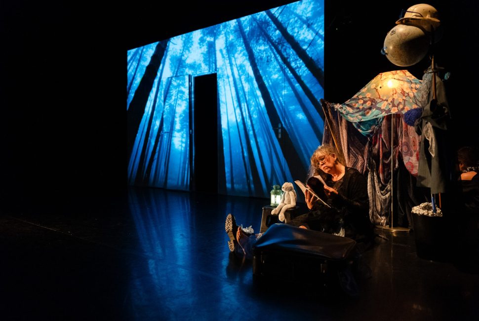 Spectacle en préparation de la Compagnie Testudines.