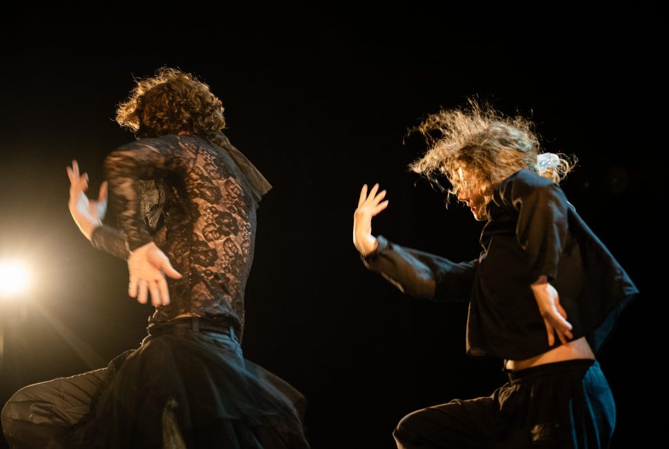 Spectacle en préparation de la Compagnie Testudines.