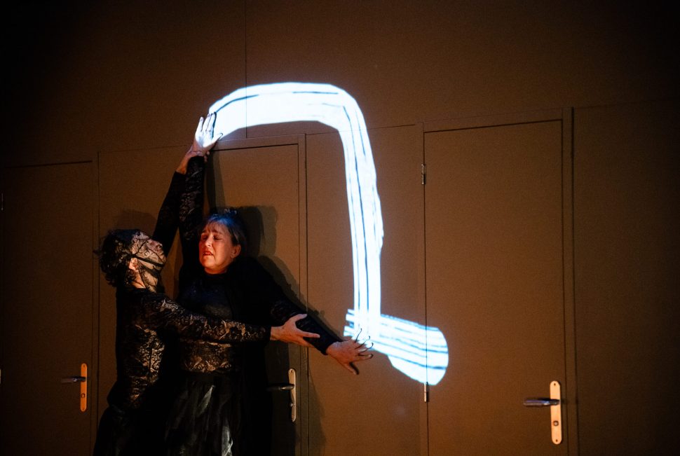 Spectacle en préparation de la Compagnie Testudines.