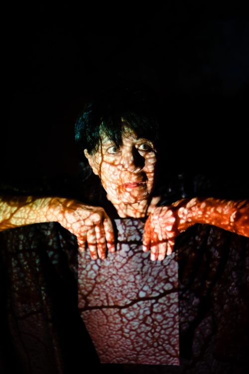 Portraits pour la Compagnie Testudines, à la fondation Bullukian, à Lyon (69)